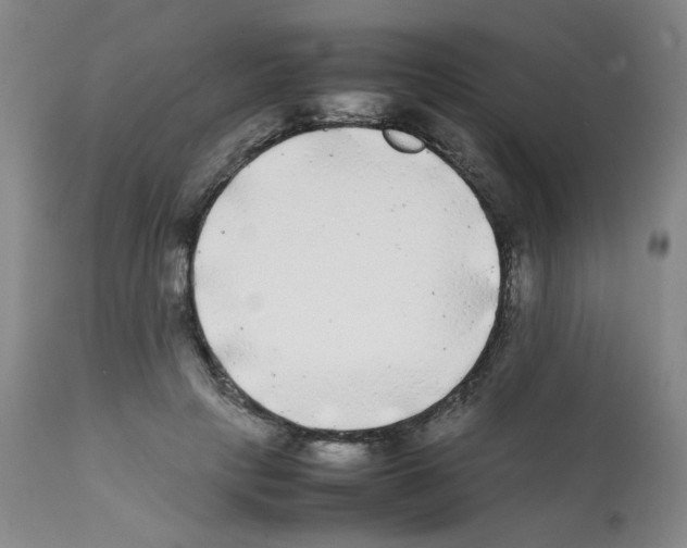X0000112070649200909151049