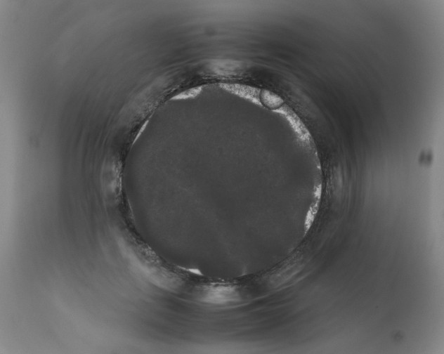 X0000112070651200909151049