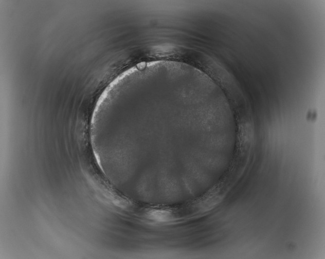 X0000112070653200909151050