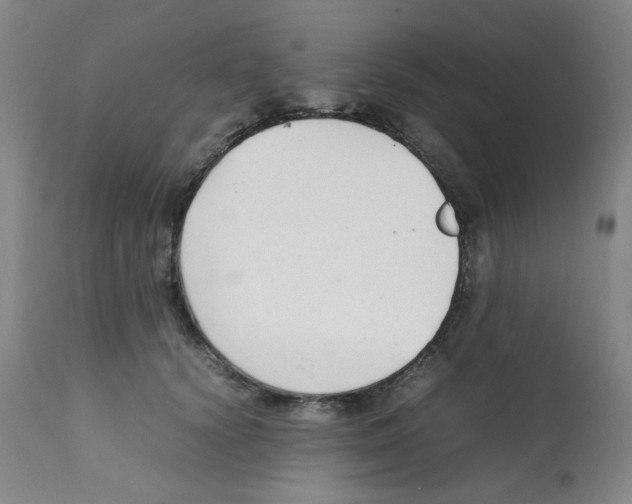 X0000112070656200909151050