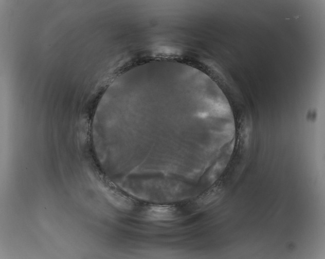 X0000112070659200909151050