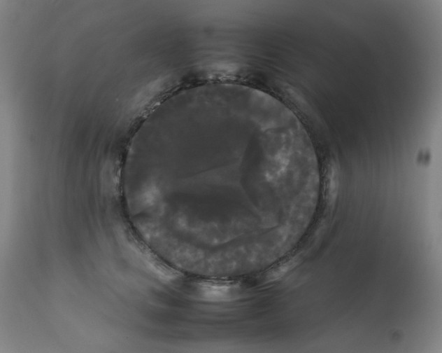 X0000112070661200909151050