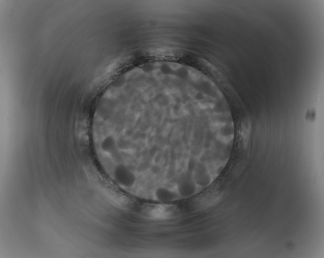 X0000112070663200909151050