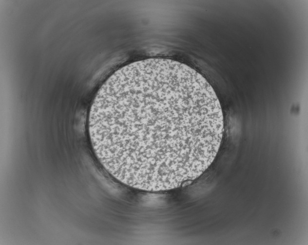 X0000112070664200909151050