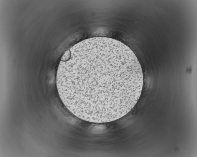 X0000112070665200909151050
