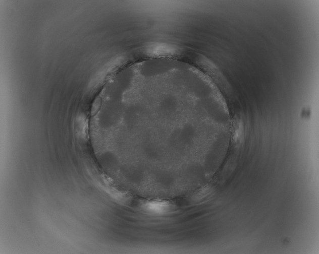 X0000112070669200909151050