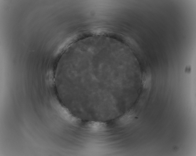 X0000112070670200909151050