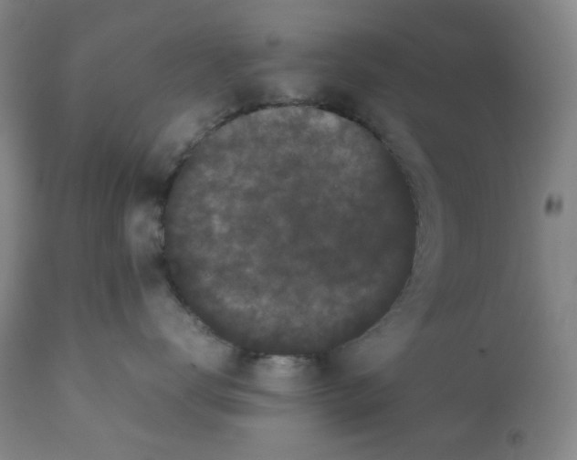 X0000112070672200909151050