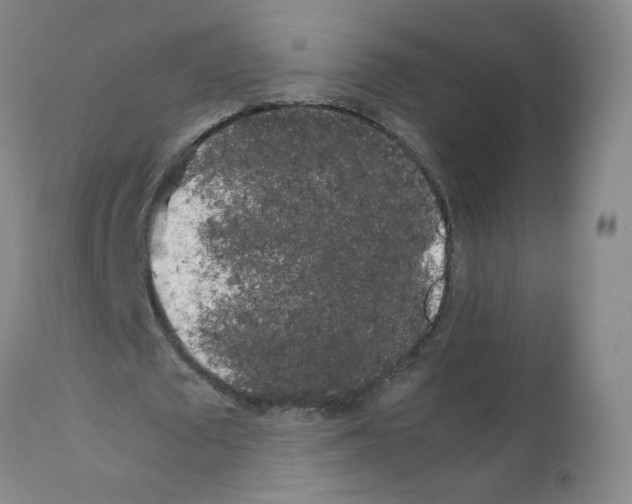 X0000112070673200909151049