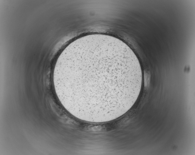 X0000112070675200909151049