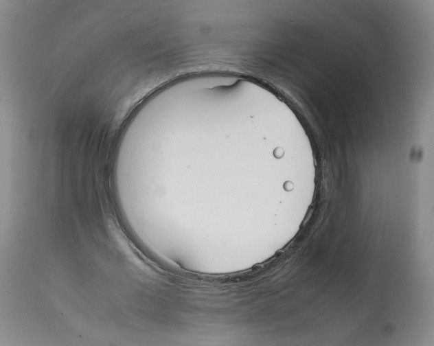 X0000112070677200909151049