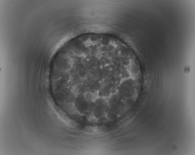 X0000112070679200909151049