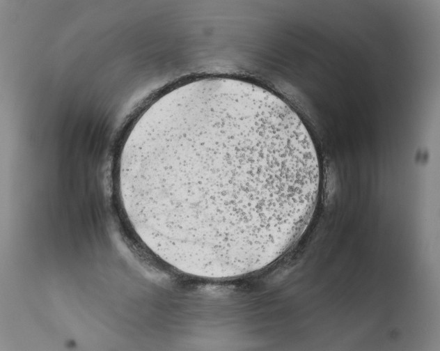 X0000112070680200909151049