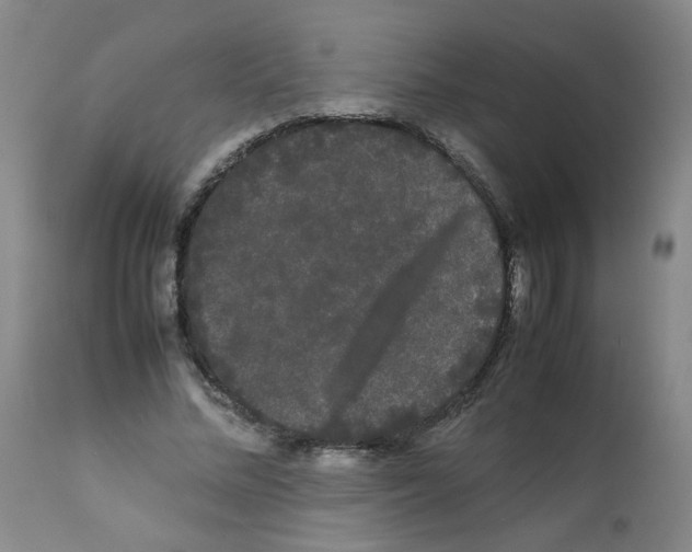 X0000112070684200909151049
