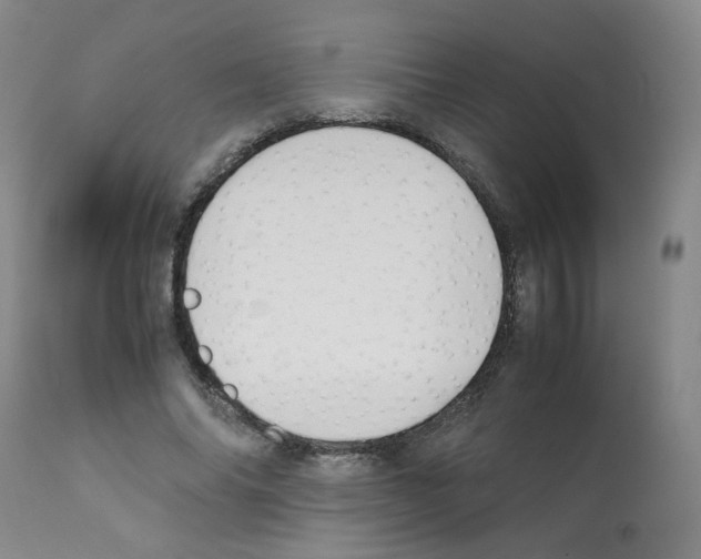 X0000112070686200909151049