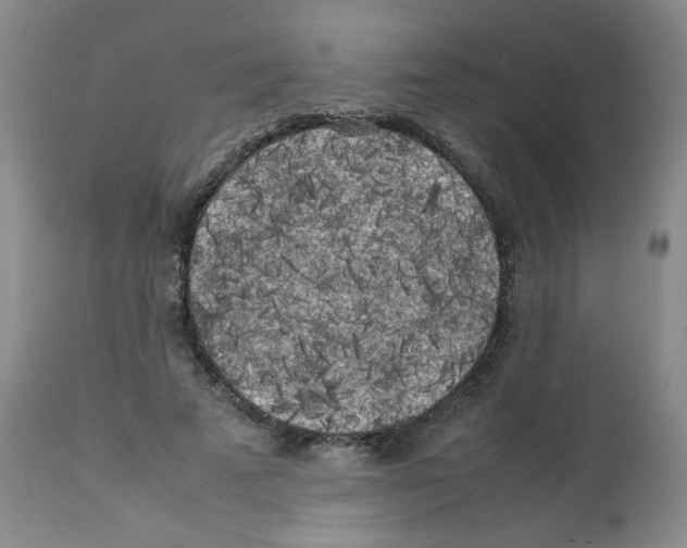X0000112070689200909151049