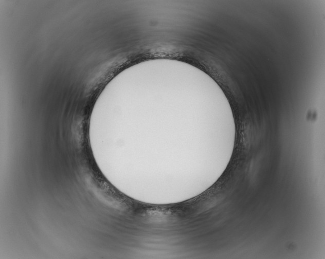X0000112070690200909151049