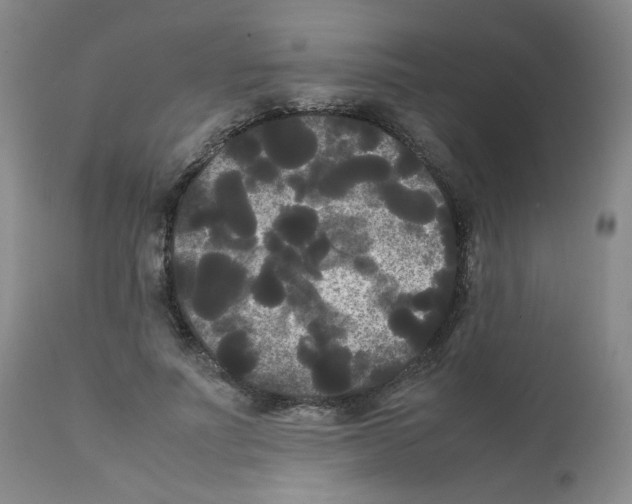 X0000112070691200909151049