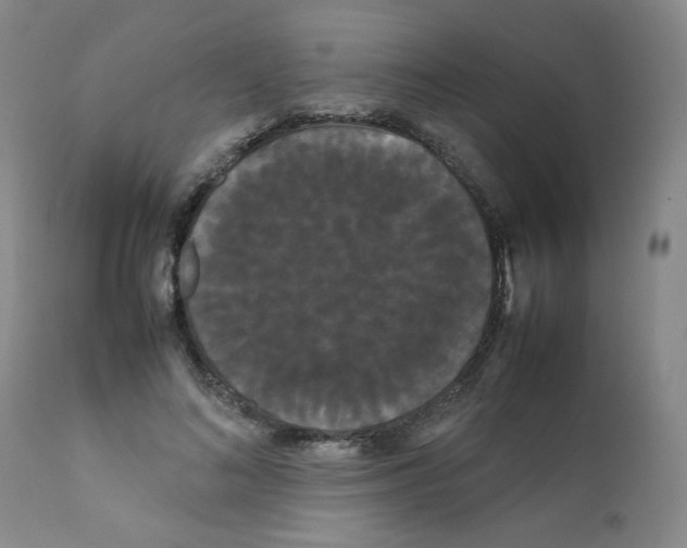 X0000112070692200909151049