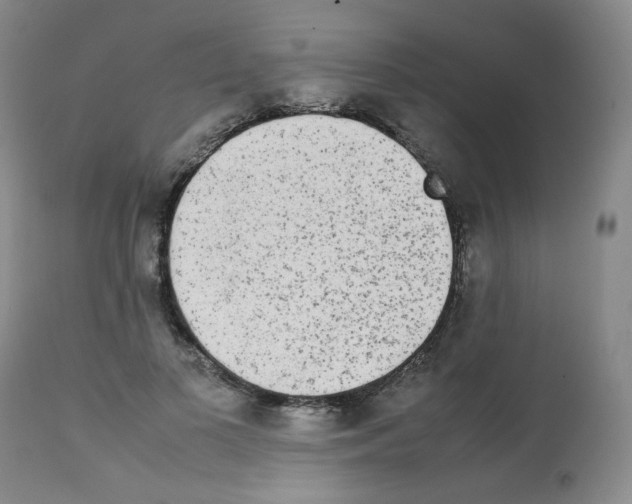 X0000112070693200909151049