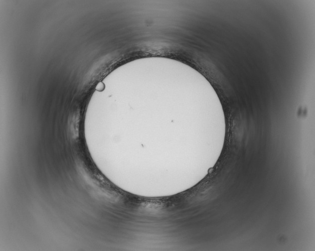 X0000112070694200909151049