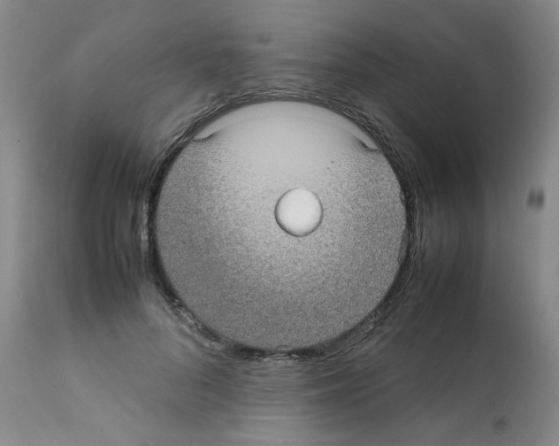 X0000112070696200909151049