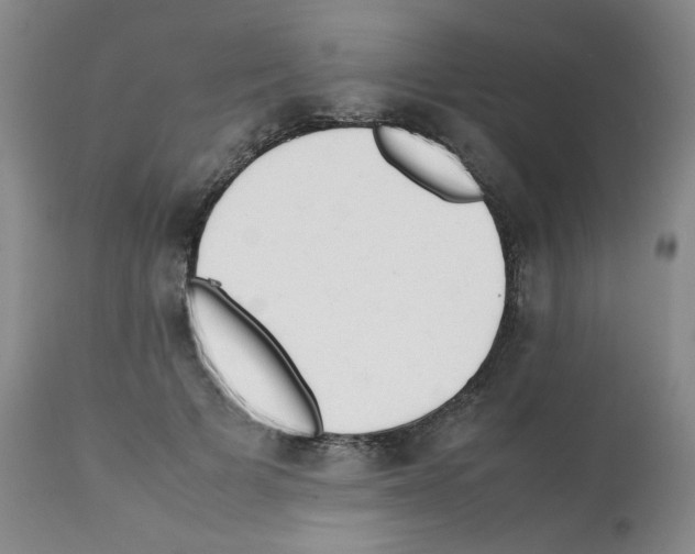 X0000112070697200909151049