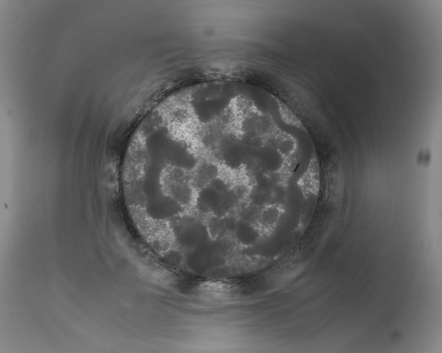 X0000112070699200909151049