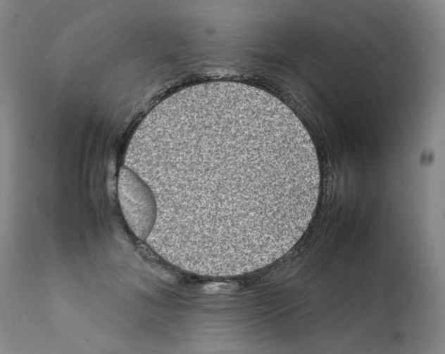 X0000112070700200909151049