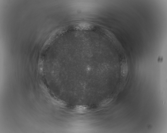 X0000112070701200909151049