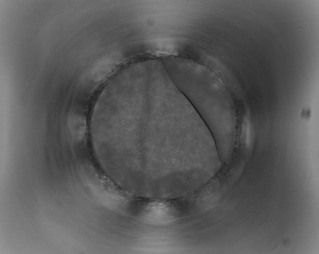 X0000112070704200909151049