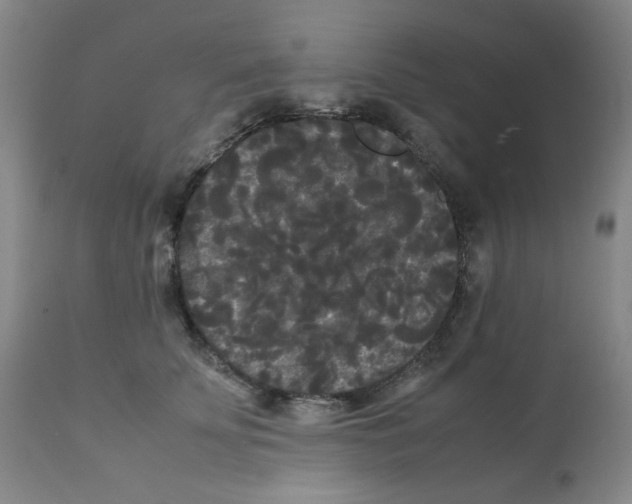 X0000112070707200909151049