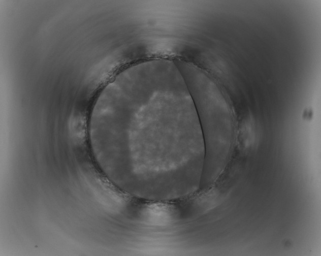 X0000112070708200909151049