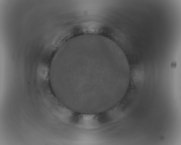 X0000112070709200909151049
