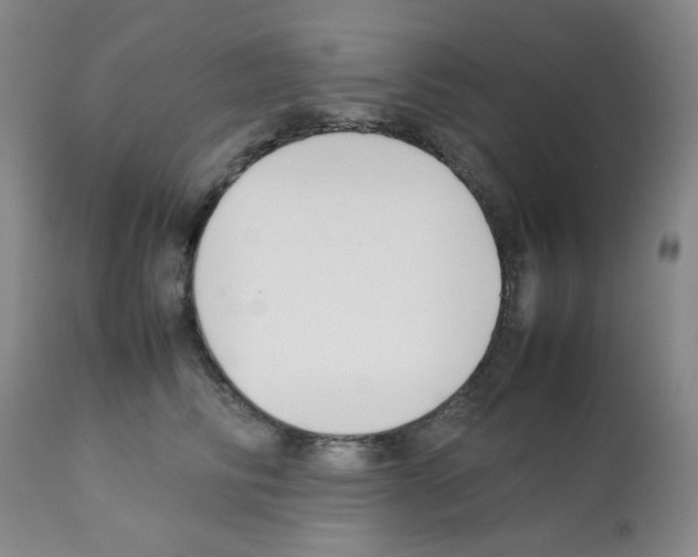 X0000112070710200909151049