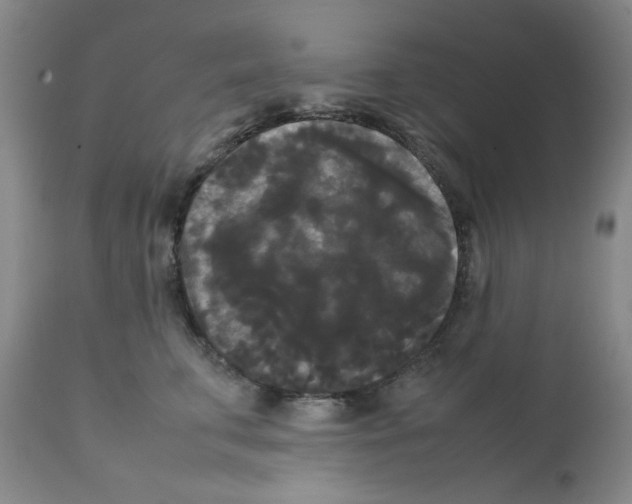 X0000112070711200909151049