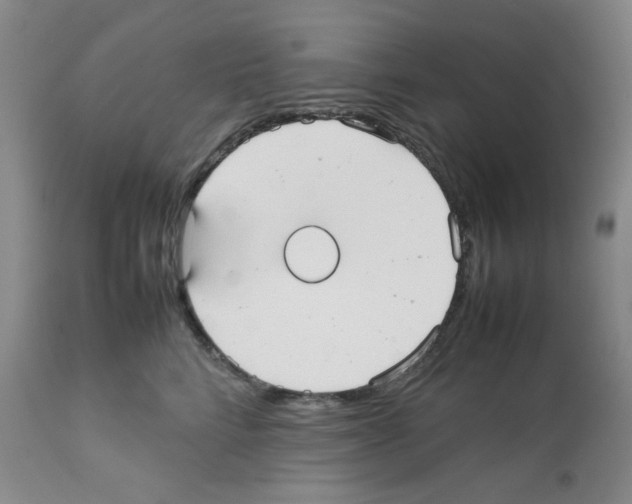 X0000112070712200909151049