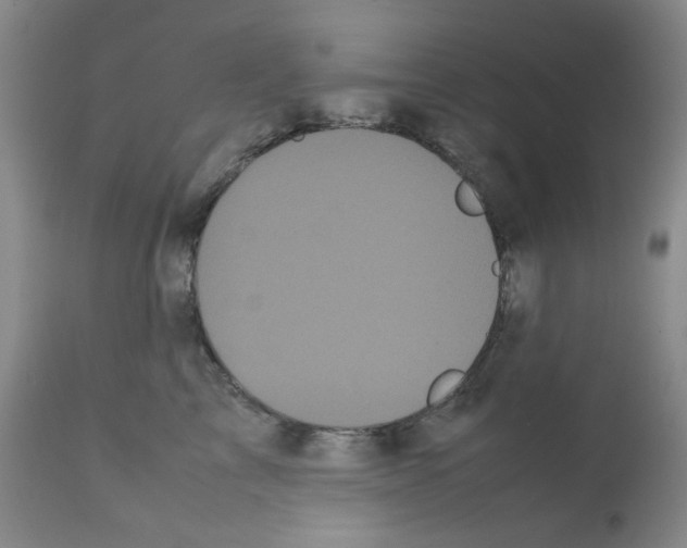 X0000112070713200909151049