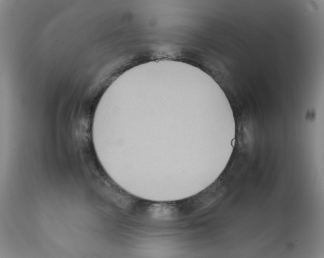 X0000112070714200909151049