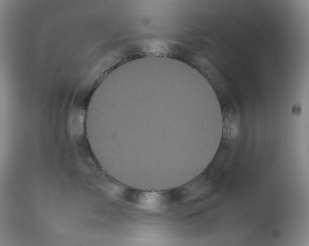 X0000112070717200909151049