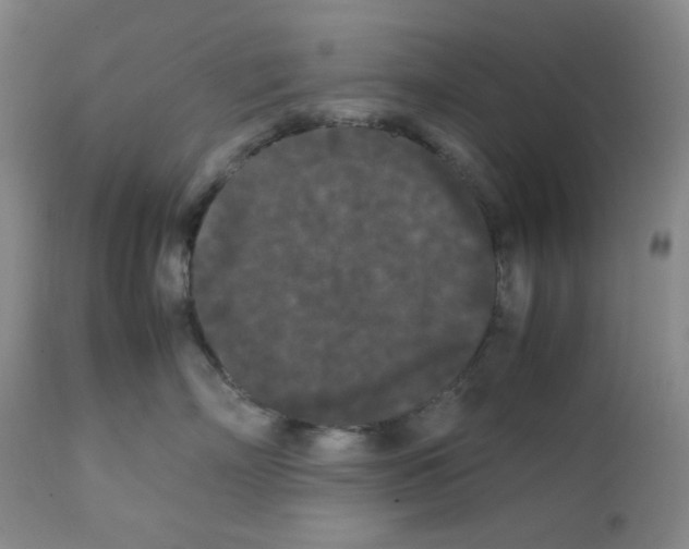 X0000112070718200909151049