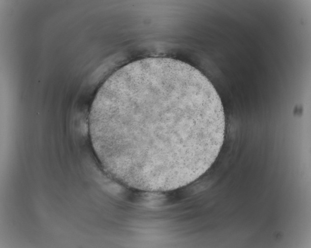X0000112070719200909151048