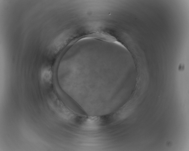 X0000112070720200909151048