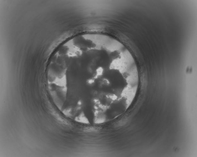 X0000112070721200909151048