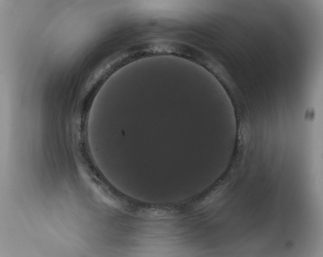 X0000112070722200909151048