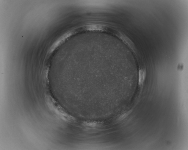 X0000112070723200909151048