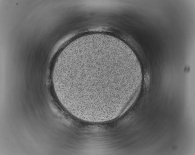 X0000112070724200909151048
