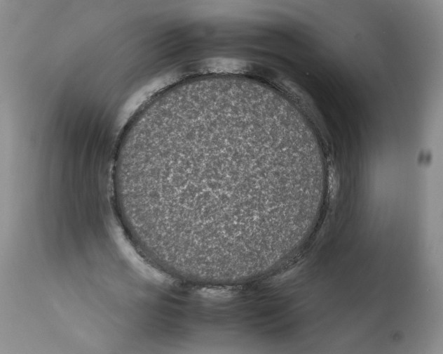 X0000112070725200909151048
