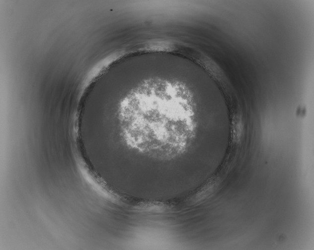 X0000112070726200909151048