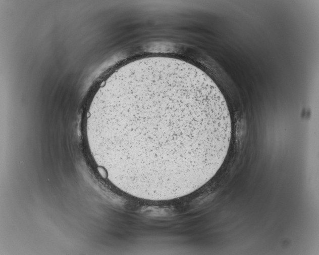 X0000112070727200909151048